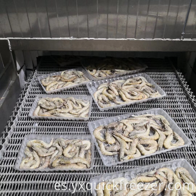 Spiral Freezer For Boxed Packing Shrimp